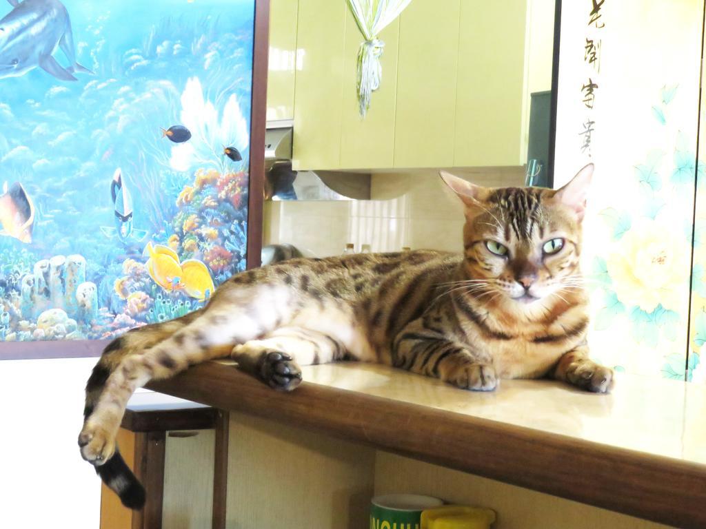 Tou Cheng Whale Watching Homestay Toucheng Eksteriør bilde